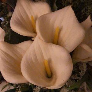 Meet your Posher, Liliana